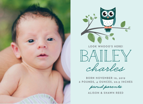 night owl birth announcements
