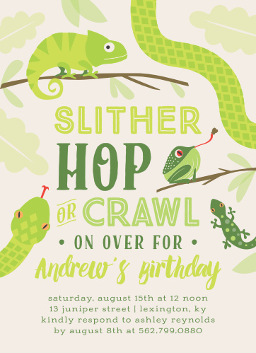 kids birthday invitations kids birthday party invites basic invite